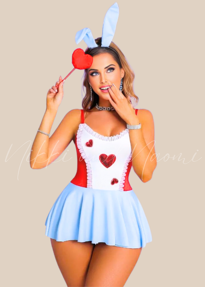 Sexy Alice in Wonderland Costume by Nikki